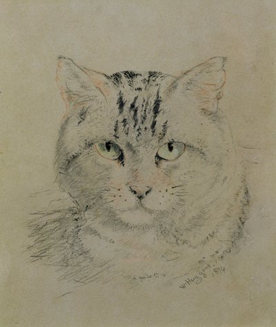Cyperse Kat, 1874 door William Huggins