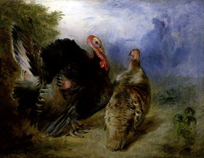 Kalkoenen door William Huggins
