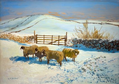 Sneeuw in de Yorkshire Dales door William Ireland