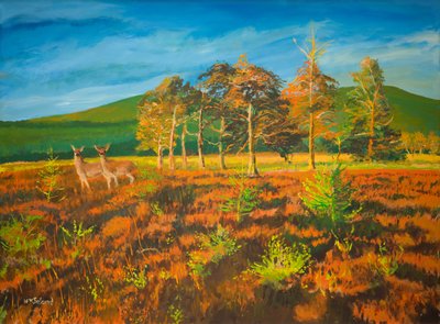 Bij Aviemore, Schotland door William Ireland