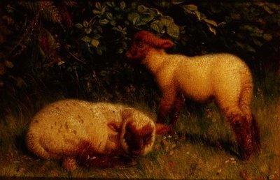Lammetjes door William J. Webbe or Webb