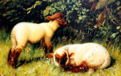 Schapen, ca. 1860 door William J. Webbe or Webb