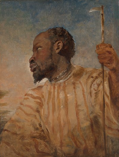 Een Tot Slaaf Gemaakte Afrikaan door William James Muller