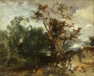 Studie van Bomen, c.1840 door William James Muller