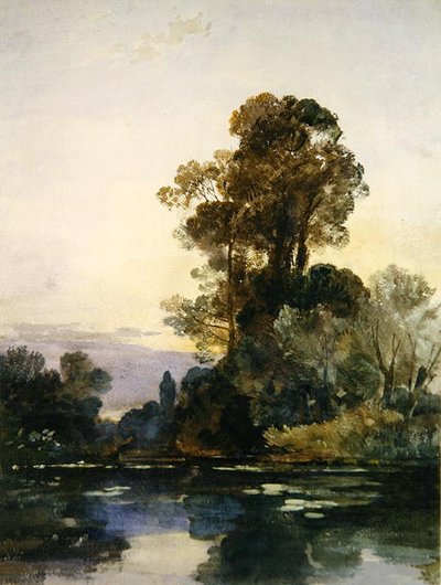 Hoge bomen bij een meer door William James Muller