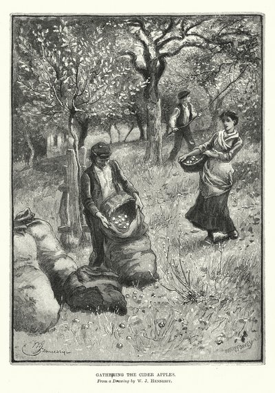 Het verzamelen van de ciderappels door William John Hennessy