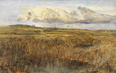 Rhoscolyn, Anglesey door William Joseph J.C. Bond