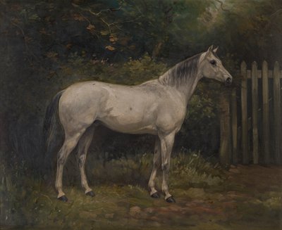 Pickles: een Basuto pony door William Josiah Redworth