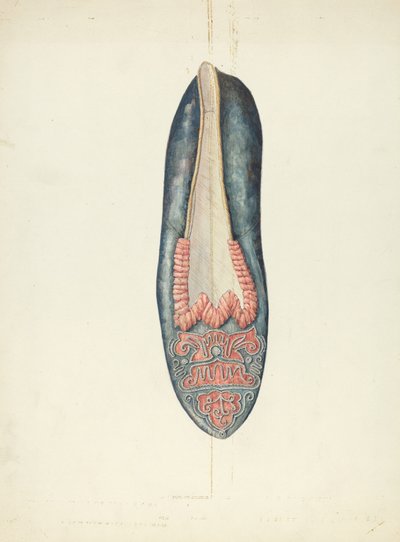 Avondpantoffel door William Kieckhofel