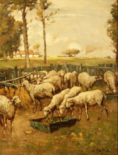 De schaapskooi door William McBride