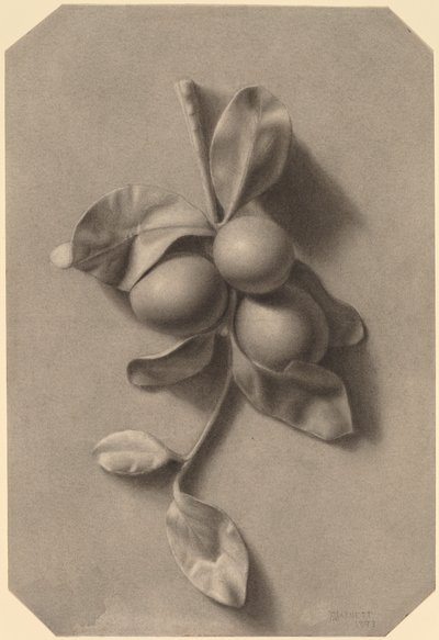 Een Takje Pruimen door William Michael Harnett