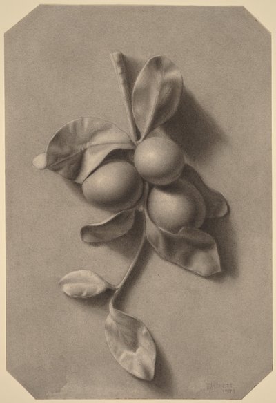  door William Michael Harnett