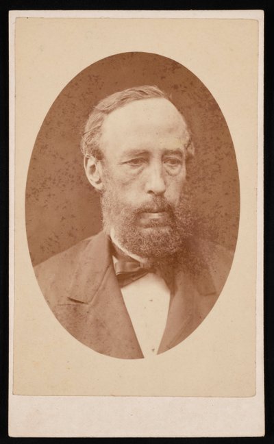 Portret van James Croll 1821-1890, voor 1876 door William Neilson