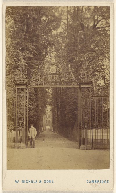 Drie-eenheid Cole Avenue door William Nichols and Sons