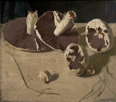 Paddenstoelen door William Nicholson