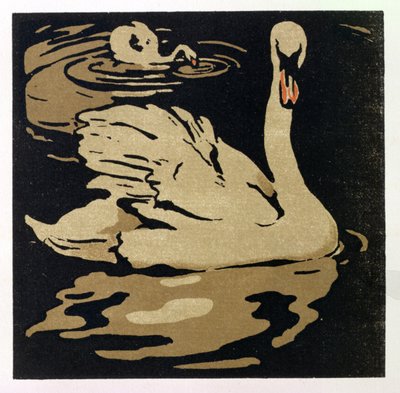 De mooie zwaan, illustratie uit 