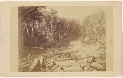 [Kopie van een schilderij met een riviertafereel met een vissende man in een kano]. door William Notman