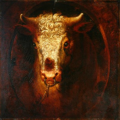 De Stierenkop door William Overend Geller