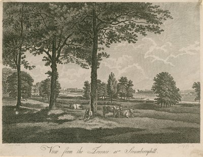 Uitzicht vanaf het terras van Strawberry Hill, Londen door William Pars