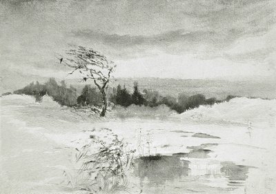 Landschap met Water en Door de Wind Gebogen Boom door William Parsons Winchester  Dana