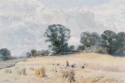 De Oogst door William Paton Burton