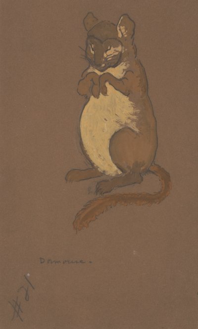Kostuumontwerp voor de slaapmuis voor Alice in Wonderland door William Penhallow Henderson