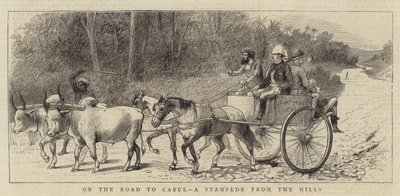 Op weg naar Kabul, een paniekvlucht vanuit de heuvels door William Ralston