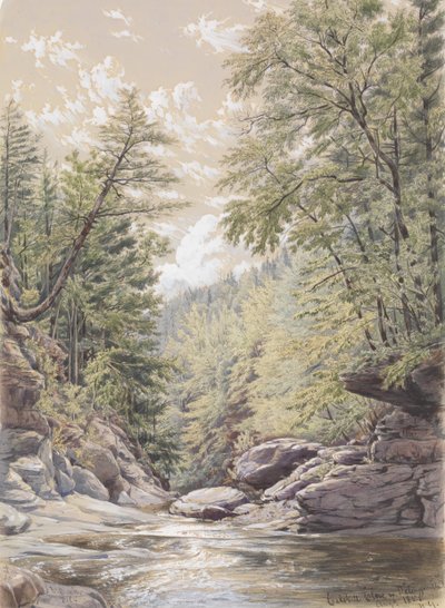 Catskill Clove in Palingsville door William Rickarby Miller