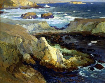 Avondvloed, Californië door William Ritschel