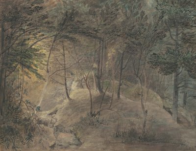 Het uitzicht vanaf het Springhouse bij Echo, ca. 1808 door William Russell Birch