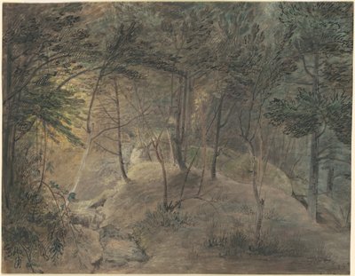Uitzicht vanaf het bronhuis bij Echo door William Russell Birch