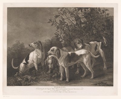 Vier jachthonden (title on object: Harriers) door William Satchwell Leney