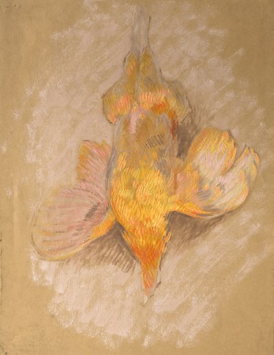 Studie van een vogel voor Highland Raiders, ca. 1918 door William Shackleton