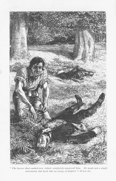 Adam Bede, die de overhand heeft gekregen op Arthur Donnithorne in een gevecht, is geschokt om zijn rivaal bewusteloos te zien liggen. Adam Bede door George Eliot, voor het eerst gepubliceerd in 1859. Illustratie door William Small (1843-1929) uit een edit door William Small