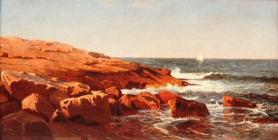 Rotsachtige kust, 1862 door William Stanley Haseltine