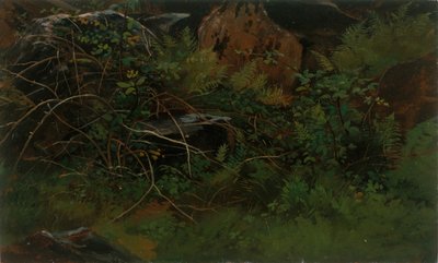 Studie uit de natuur door William Stanley Haseltine