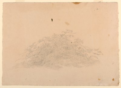 Studie van gebladerte door William Stanley Haseltine