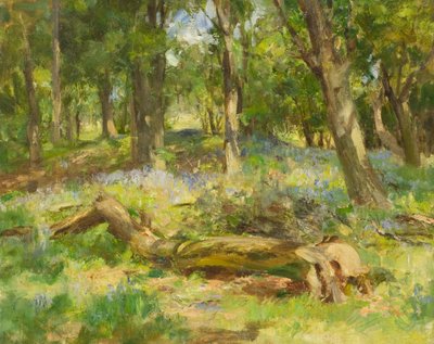 Boslandschap door William Stewart MacGeorge