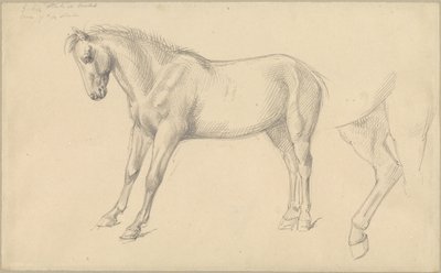 Studies van een Pony door William Strutt