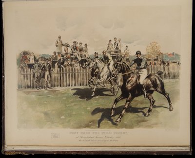 Pony Race voor Polo Pony