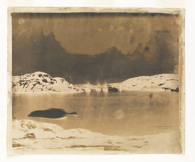 Een uitzicht over een baai naar de Franklin-zoekschepen onder bevel van Kapitein Belcher door William Thomas Domville