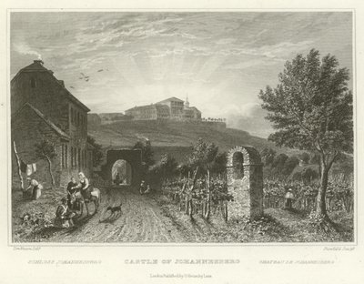 Kasteel van Johannesberg door William Tombleson