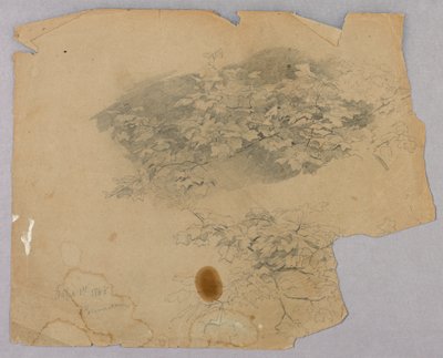 Studie van gebladerte door William Trost Richards