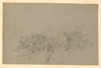 Studie van Bladgroen door William Trost Richards