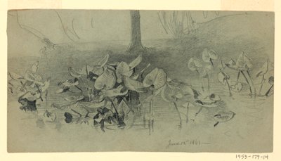Studie van Bladeren door William Trost Richards