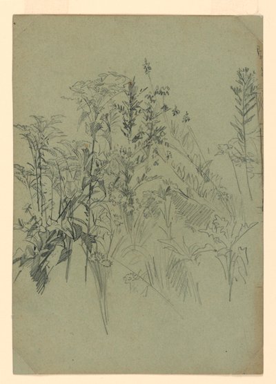 Studie van gebladerte door William Trost Richards