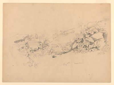 Studie van gebladerte, Trachselwald, Bern, Zwitserland door William Trost Richards