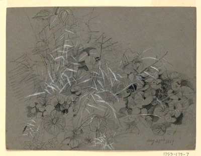 Studie van violette bladeren en gras door William Trost Richards