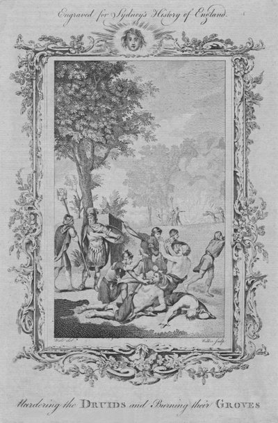 Het vermoorden van de Druïden en het verbranden van hun bossen, 1773 door William Walker