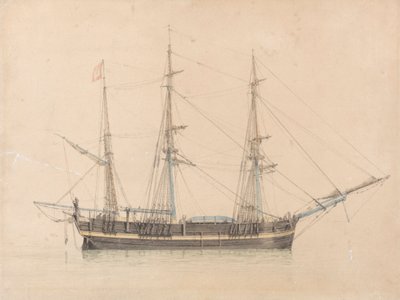 De Walvisvaarder "Truelove" van Hull door William Ward